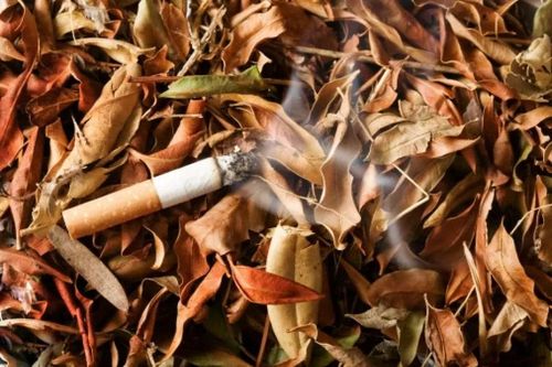 Những tác hại khôn lường của thuốc lá đối với môi trường