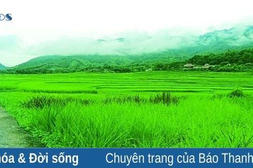 Trên đất Kỳ Tân