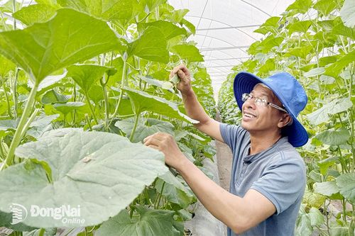 Tạo môi trường phát triển nông nghiệp công nghệ cao