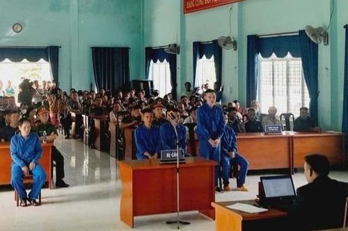 Khai thác gỗ trong rừng tự nhiên, nhóm đối tượng lĩnh án gần 10 năm tù