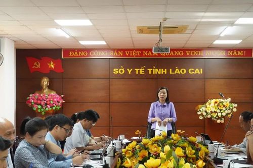 Ban Văn hóa - xã hội HĐND tỉnh làm việc với ngành y tế