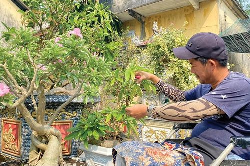 Khu vườn xanh của anh Phú