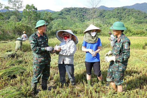 Xuống đồng giúp dân thu hoạch lúa