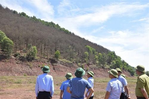 Lãnh đạo tỉnh Nghệ An trực tiếp chỉ đạo công tác phòng, chống sâu bệnh hại cây rừng