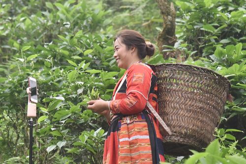 Làm chủ kinh tế giúp phụ nữ nâng cao vị thế