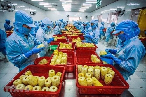 Thúc đẩy liên kết, phát triển chuỗi giá trị nông nghiệp