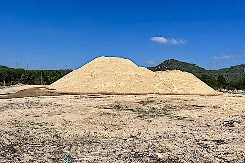 Khai thác trái phép hơn 15.000 m3 cát, nữ giám đốc bị đề nghị truy tố