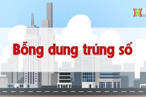 Bỗng dưng trúng số | Chuyện quanh ta | 29/08/2024