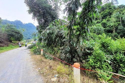 1 công nhân điện lực Lào Cai tử nạn trong lúc dọn hành lang lưới điện