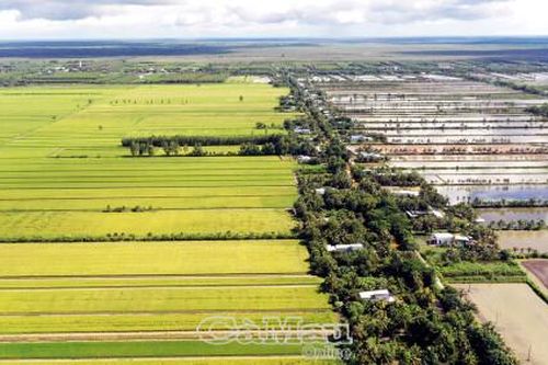 Sắc màu vùng trấp
