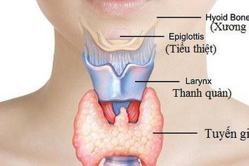9 dấu hiệu cảnh báo bệnh tuyến giáp, cần được khám sớm