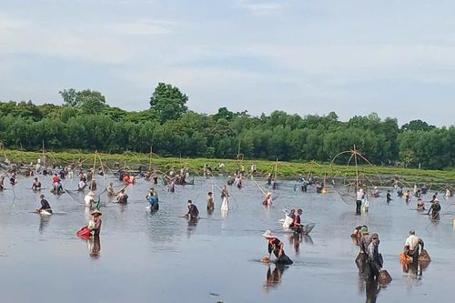 Đông đảo người dân, du khách tham gia lễ hội 'phá Trằm' Trà Lộc 2024