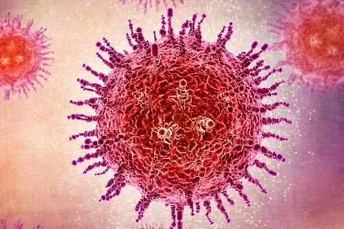 Mối nguy tiềm tàng từ loại virus mới hoành hành tại Nam Mỹ