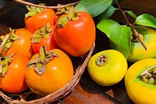 Ngẫm ngợi cuối tuần: Mùa hái quả