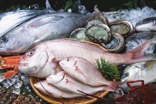 Bảo quản hải sản tươi lâu bằng công nghệ mới