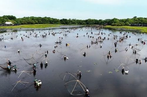 Đông nghịt du khách reo hò úp cá tại lễ hội 'phá Trằm' Trà Lộc