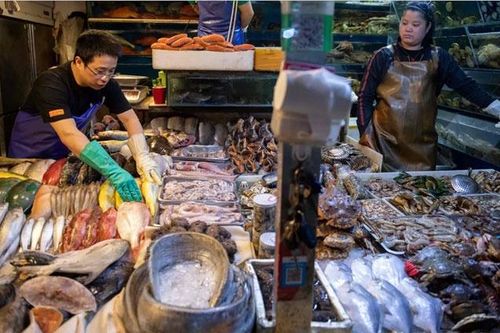 Trung Quốc chuyển hướng nhập khẩu hải sản sau lệnh cấm với Nhật Bản