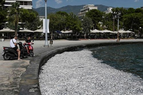 Hy Lạp ban bố tình trạng khẩn cấp