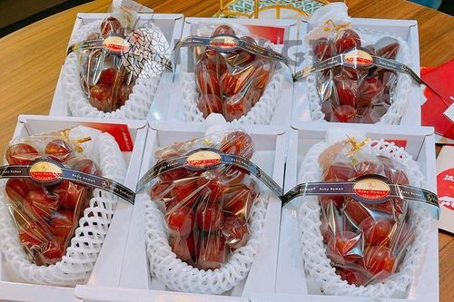 Nhiều người 'xếp hàng' mua nho Nhật đắt nhất thế giới giá 12 triệu đồng/kg