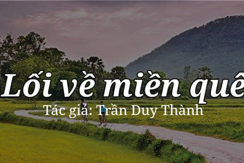 Tản văn hay: Lối về miền quê