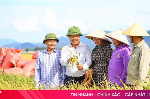 Mồ hôi mà đổ xuống đồng...