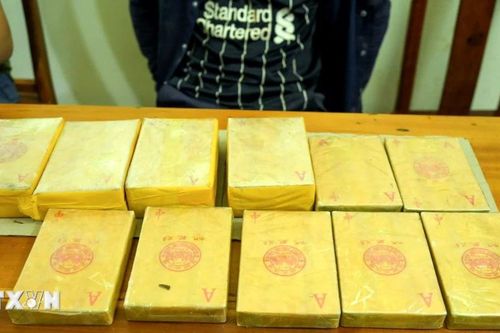 Điện Biên: Bắt đối tượng vận chuyển 15 bánh heroin từ biên giới Việt-Lào
