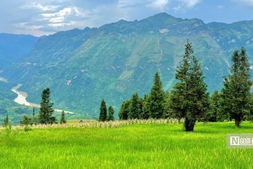 Khám phá 'tiểu Thụy Sĩ' giữa lòng Hà Giang