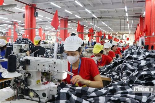 Nhiều doanh nghiệp ở Nghệ An rợp cờ đỏ sao vàng mừng lễ Quốc khánh 2/9