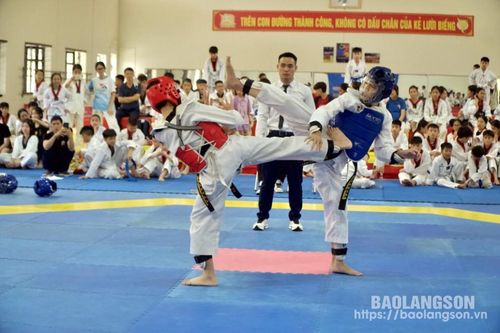 Hơn 150 vận động viên tham gia ngày hội giao lưu các câu lạc bộ Taekwondo tỉnh