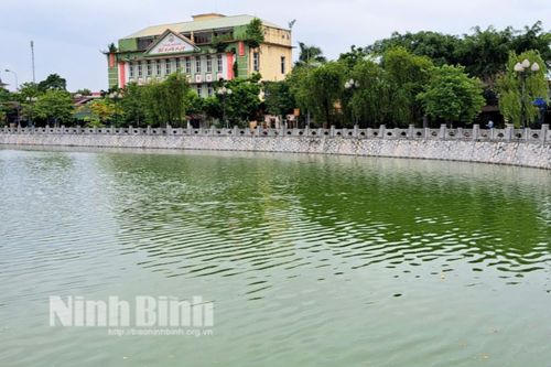 Bảo vệ và giữ gìn những 'Lá phổi xanh'