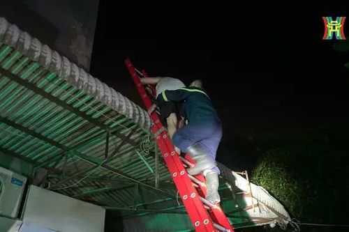 Giải cứu 4 người mắc kẹt trong đám cháy chung cư