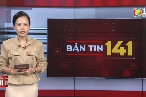 Bản tin 141 | 31/08/2024