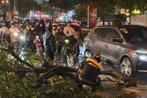 TPHCM: Cành cây gãy rơi xuống đường Phạm Văn Đồng, may mắn không ai bị thương