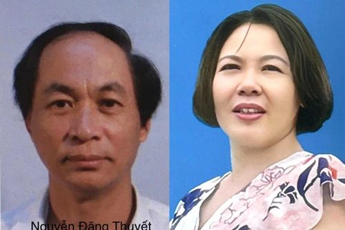 Nữ giám sát kế toán gây thiệt hại hơn 743 tỷ đồng tiền thuế trong 5 năm