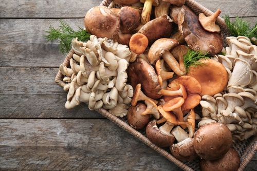 Thường xuyên ăn nấm nhưng bạn có biết công dụng của từng loại?