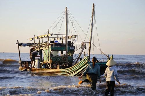 Nghỉ lễ, ngư dân vẫn hào hứng ra khơi