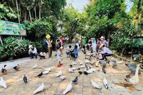 Người dân TPHCM tấp nập vui chơi, đặt dịch vụ xem bắn pháo hoa