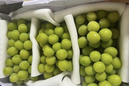 Nho sữa 'quý tộc' đổ bộ chợ Việt chỉ 25.000 đồng/kg