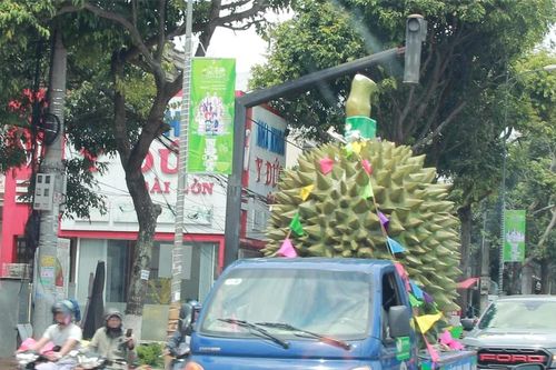 Đấu giá 'nữ hoàng' sầu riêng Ri6 thu về hơn 1,4 tỷ đồng