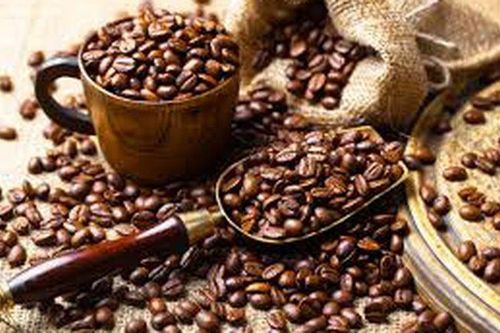 Giá cà phê hôm nay 1/9/2024: Giá cà phê robusta nóng 'hừng hực', nhà nhập khẩu châu Âu chạy đua với Quy định EUDR