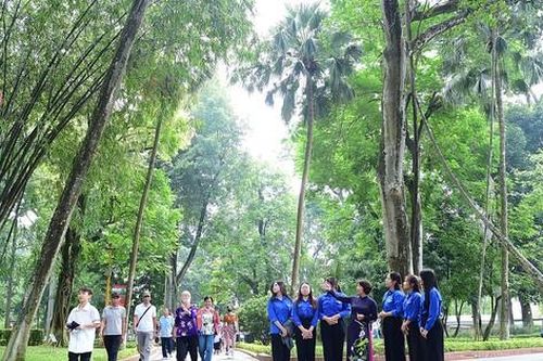 Rợp bóng đa trong Khu Di tích Chủ tịch Hồ Chí Minh tại Phủ Chủ tịch