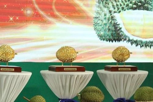 3 quả sầu riêng trúng đấu giá hơn 2,6 tỷ đồng