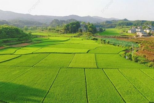 Thẩm quyền giao đất, cho thuê đất, cho phép chuyển mục đích sử dụng đất
