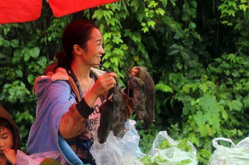 Chen chân đến chợ biên Việt - Lào mua chuột núi, rau rừng về ăn Tết Độc lập