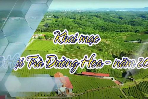 Quảng Ninh: Sắp diễn ra lễ hội Trà Đường Hoa lần đầu tiên ở huyện Hải Hà