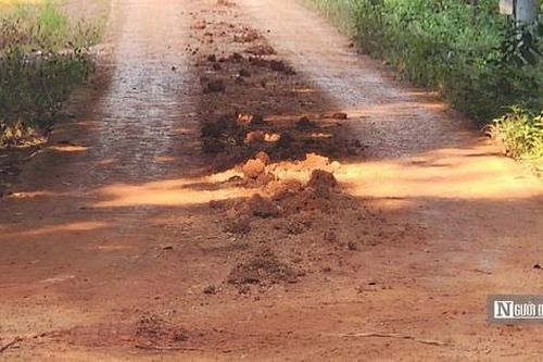 Bình Phước: Ra quyết định xử phạt đối với cá nhân khai thác đất trái phép