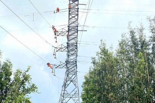 Điện lực Long An sang tải cấp điện cho vùng Đồng Tháp Mười