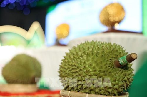 Bán đấu giá ba 'Nữ hoàng sầu riêng'
