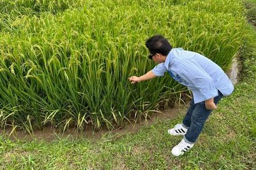 Nam nghệ sĩ bị soi khoảnh khắc mò cua bắt ốc nhưng có chi tiết sai sai