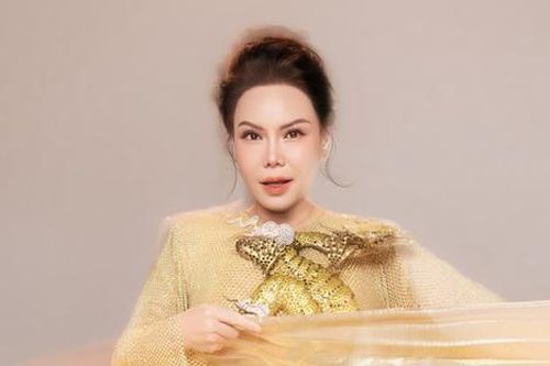Sao nữ Vbiz được chồng tặng nhà 300 tỷ, vừa tậu thêm 'tài sản' 117 tỷ trong năm 2024